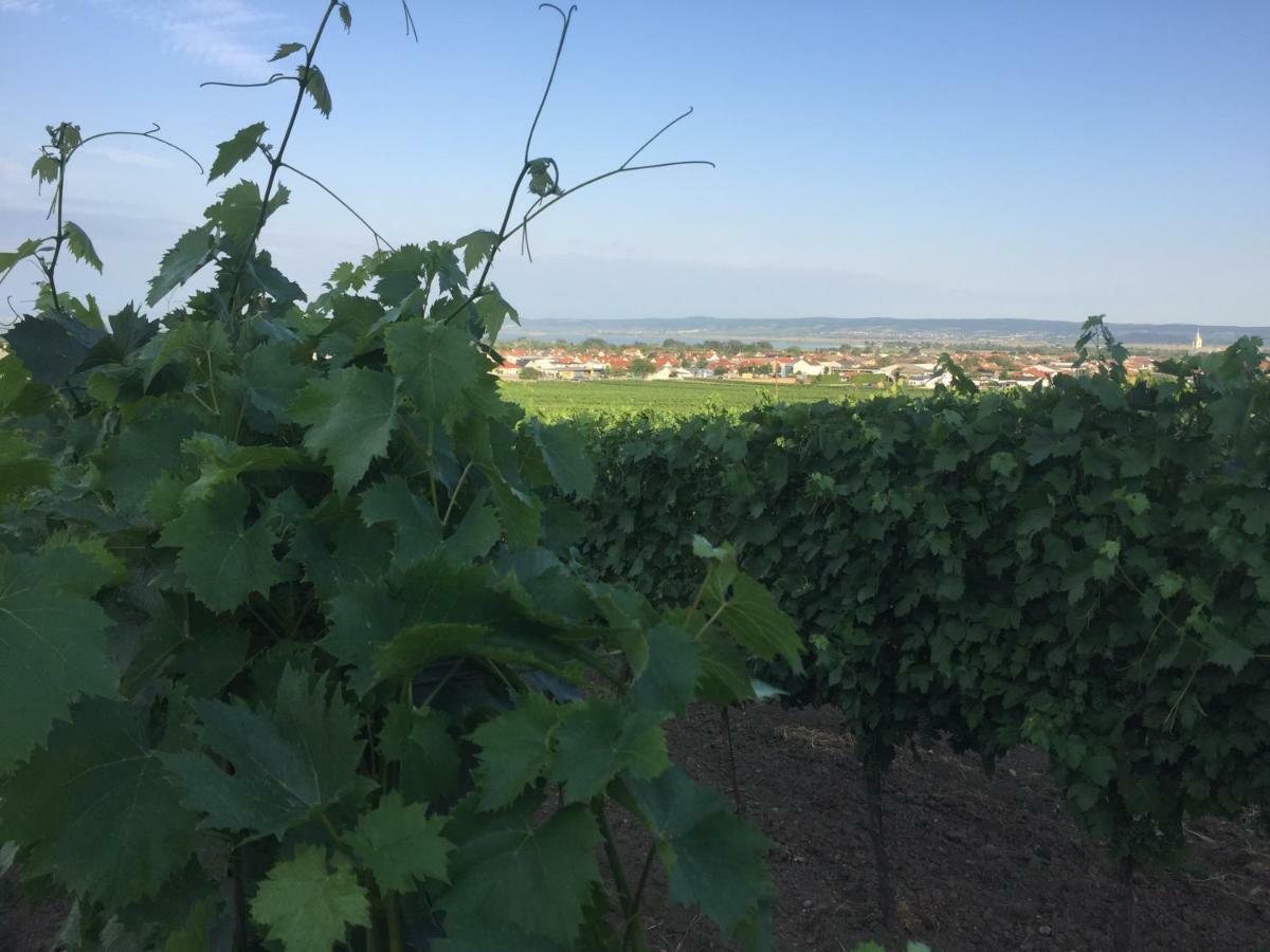 Ferienwohnung Weingut Krikler Weiden am See Exterior foto